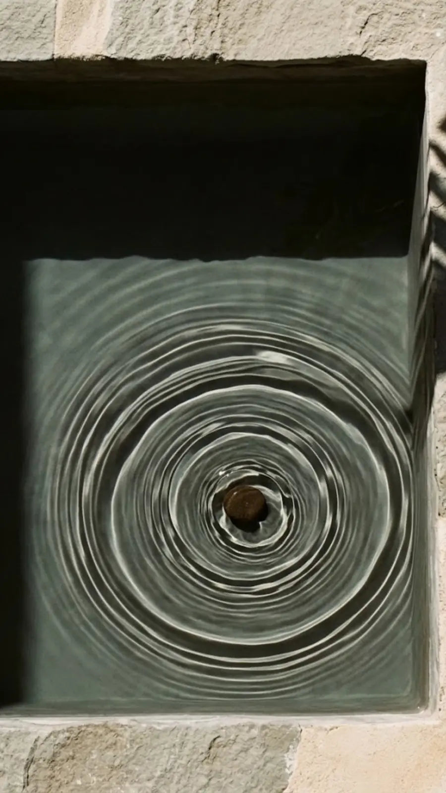 Ein Stein im Wasser zieht ruhige Kreise